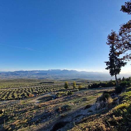 Apartamento V27 Baeza Dış mekan fotoğraf