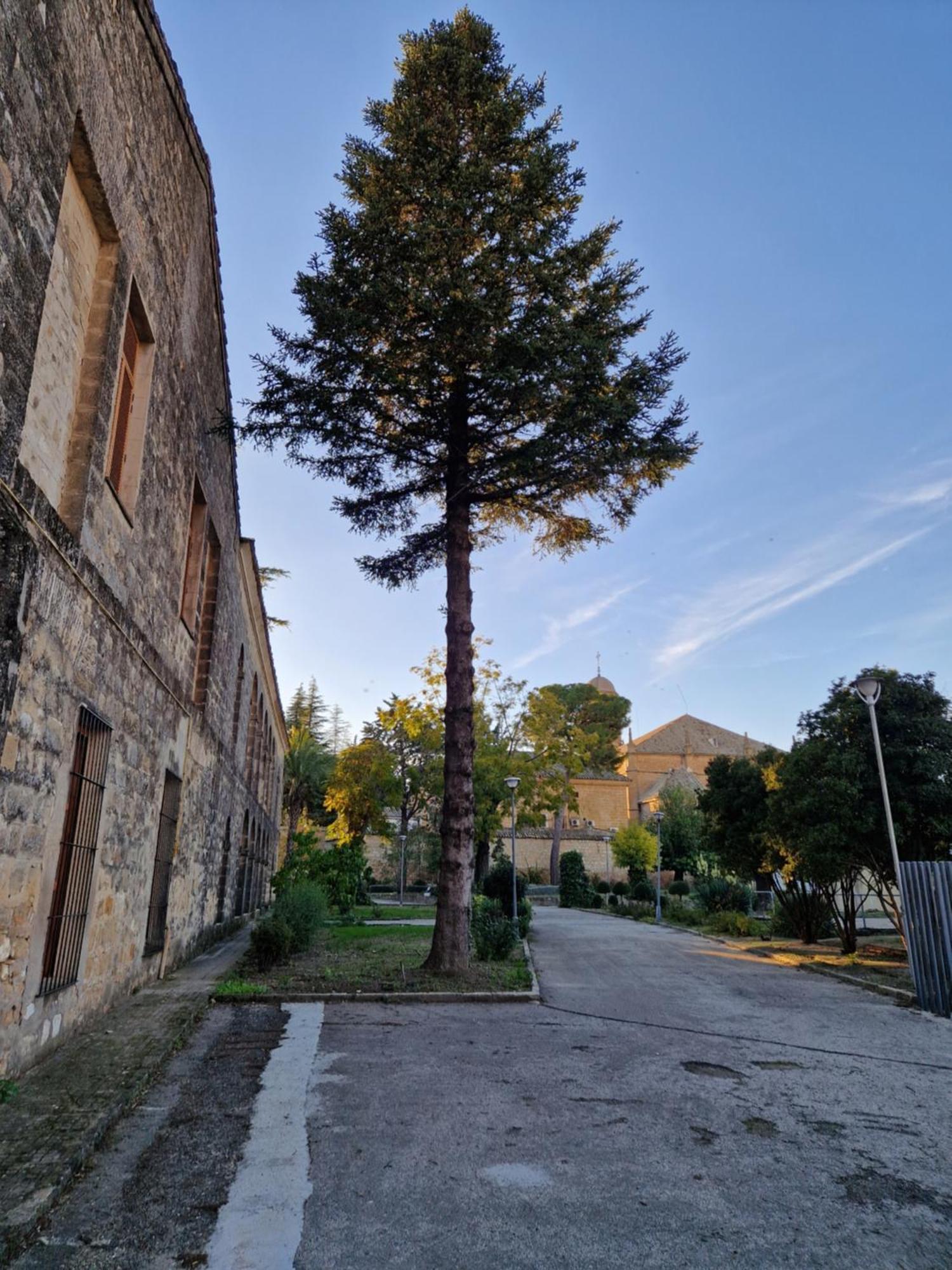 Apartamento V27 Baeza Dış mekan fotoğraf