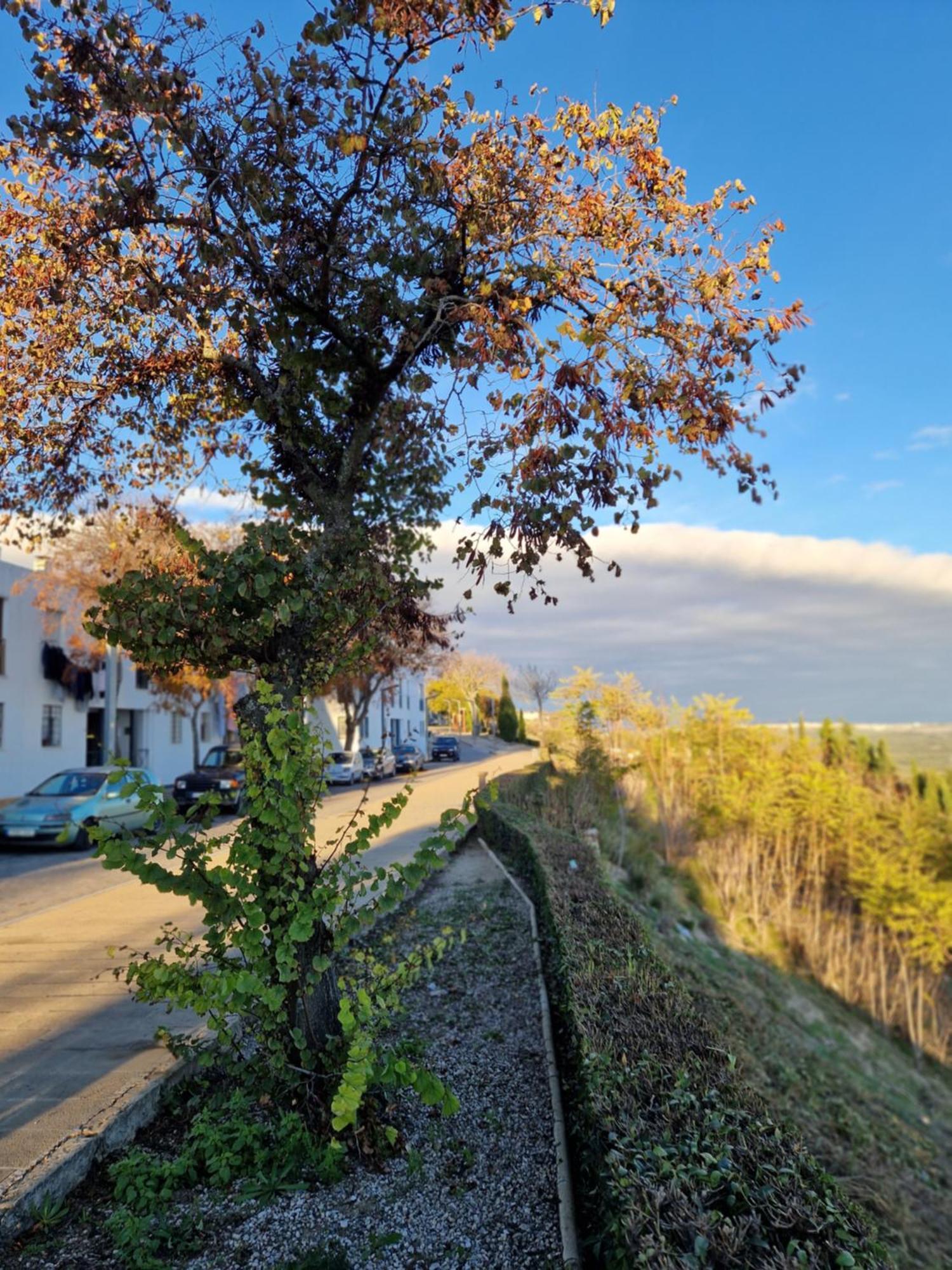 Apartamento V27 Baeza Dış mekan fotoğraf